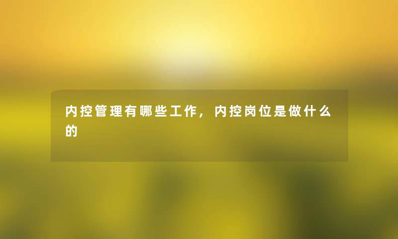 内控管理有哪些工作,内控岗位是做什么的