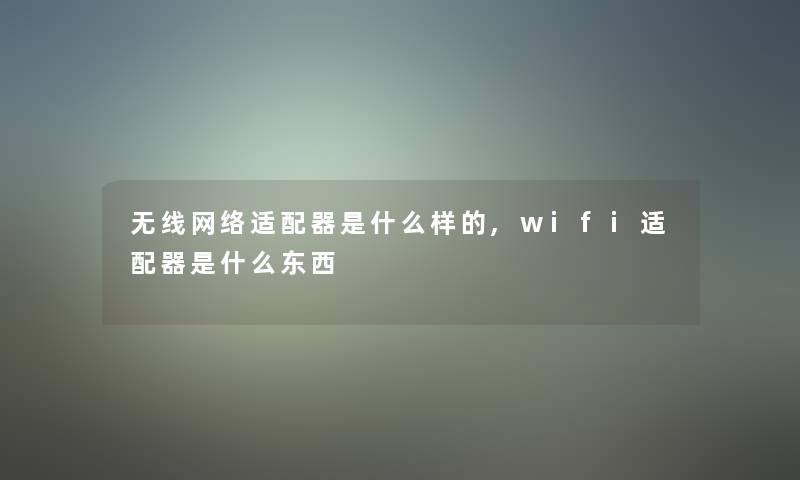 无线网络适配器是什么样的,wifi适配器是什么东西