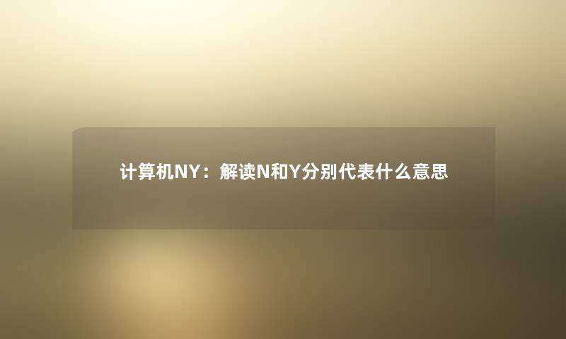 计算机NY：解读N和Y分别代表什么意思