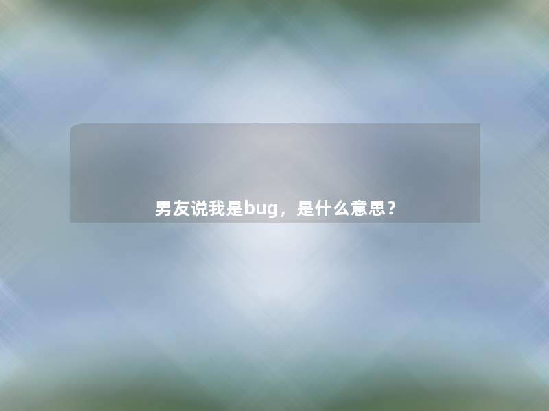 男友说我是bug，是什么意思？