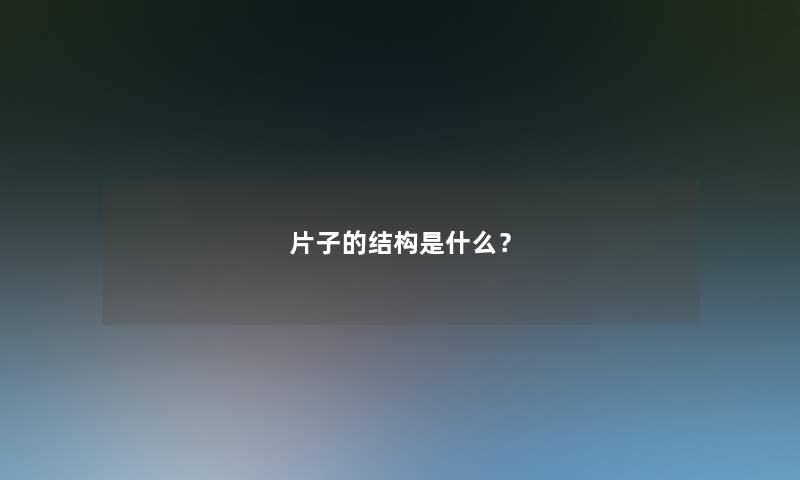 片子的结构是什么？