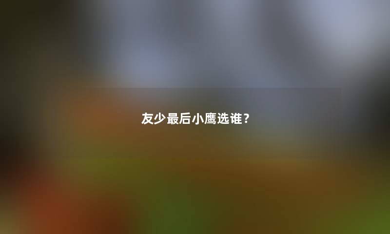 友少补充一点小鹰选谁？