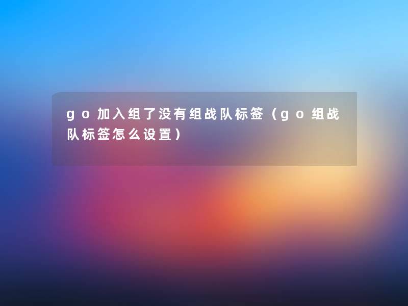 go加入组了没有组战队标签（go组战队标签怎么设置）