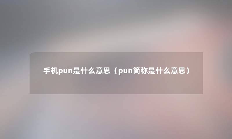 手机pun是什么意思（pun简称是什么意思）