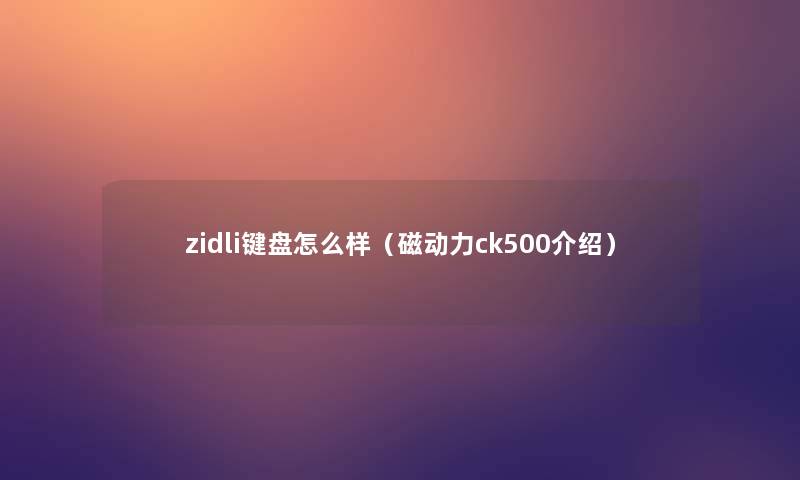 zidli键盘怎么样（磁动力ck500介绍）