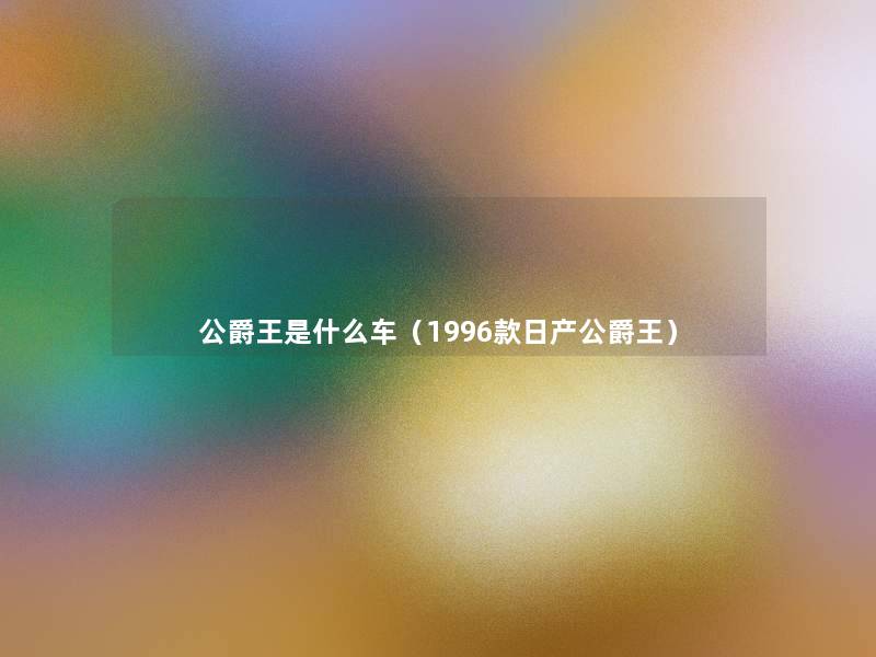 公爵王是什么车（1996款日产公爵王）