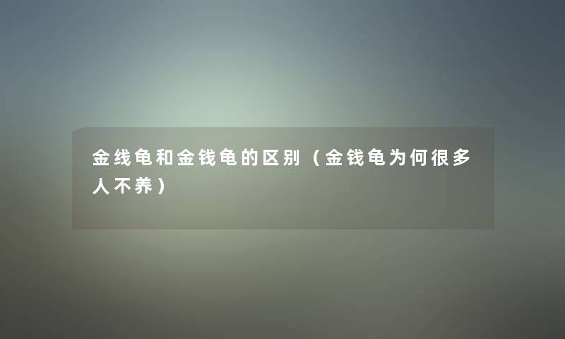 金线龟和金钱龟的区别（金钱龟为何很多人不养）