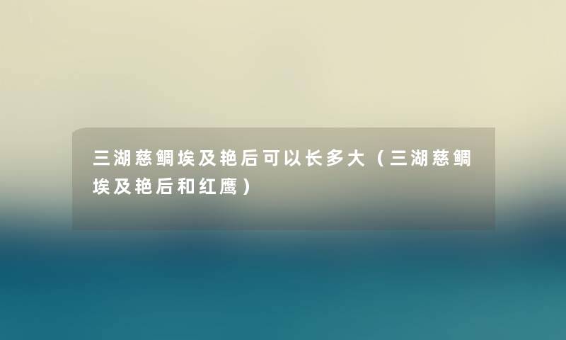 三湖慈鲷埃及艳后可以长多大（三湖慈鲷埃及艳后和红鹰）