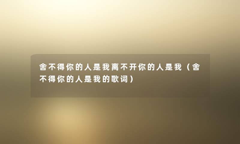 舍不得你的人是我离不开你的人是我（舍不得你的人是我的歌词）