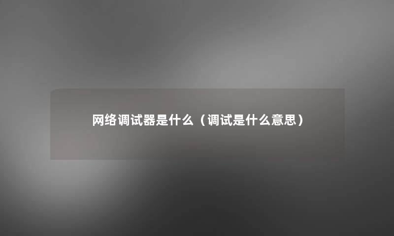 网络调试器是什么（调试是什么意思）