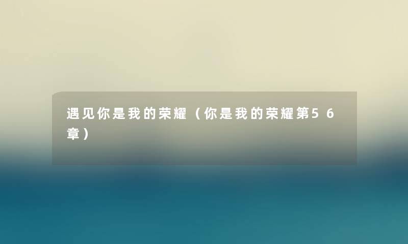 遇见你是我的荣耀（你是我的荣耀第56章）