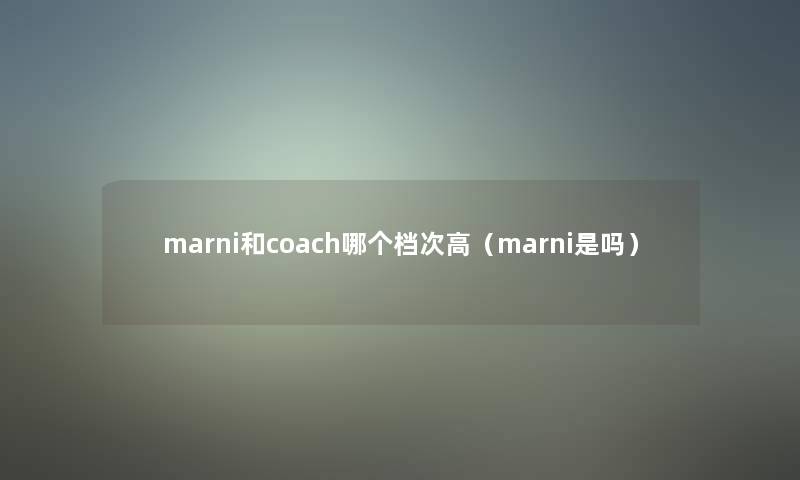 marni和coach哪个档次高（marni是吗）