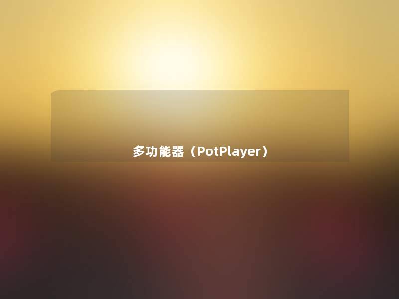 多功能器（PotPlayer）