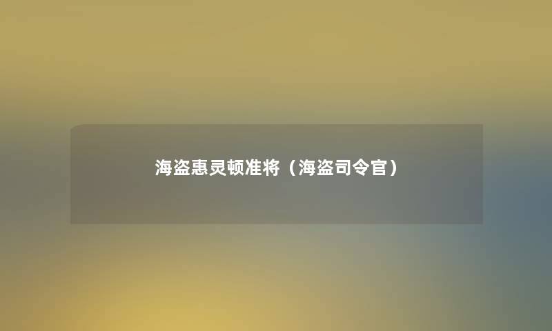 海盗惠灵顿准将（海盗司令官）