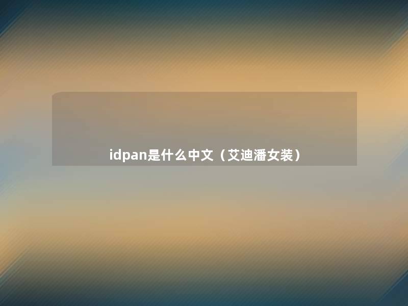 idpan是什么中文（艾迪潘女装）