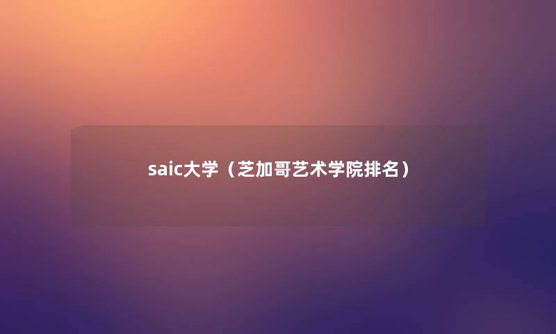 saic大学（芝加哥艺术学院推荐）