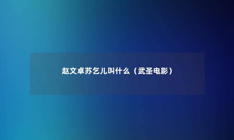 赵文卓苏乞儿叫什么（武圣电影）