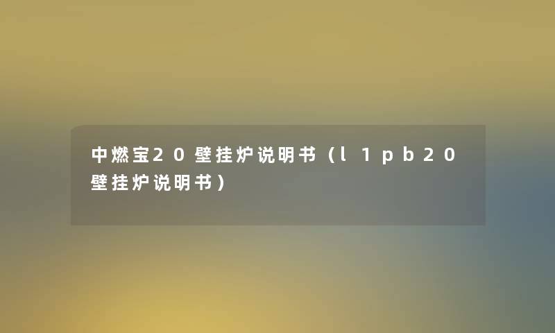 中燃宝20壁挂炉说明书（l1pb20壁挂炉说明书）