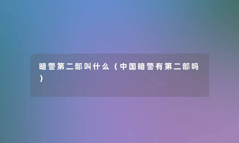 暗警第二部叫什么（中国暗警有第二部吗）