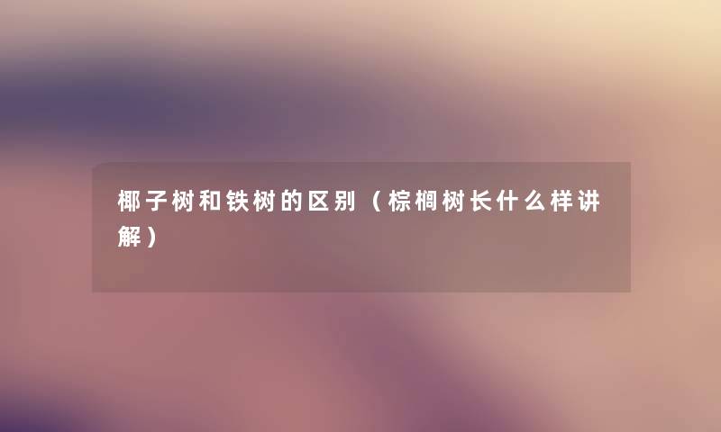 椰子树和铁树的区别（棕榈树长什么样讲解）