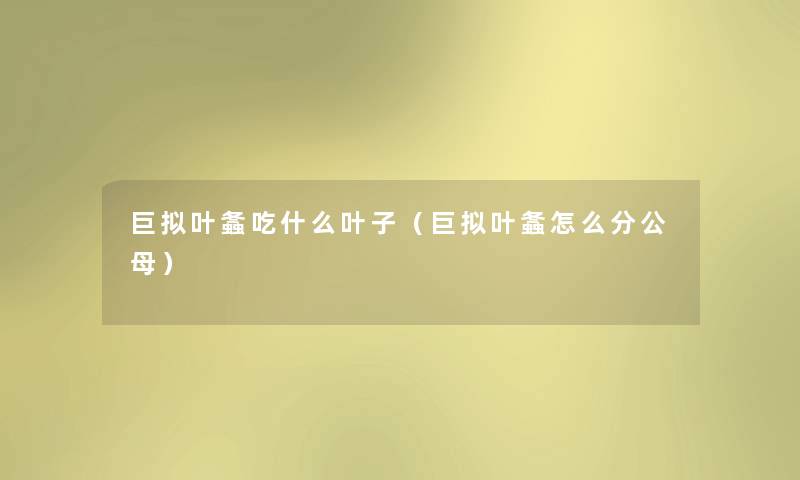 巨拟叶螽吃什么叶子（巨拟叶螽怎么分公母）