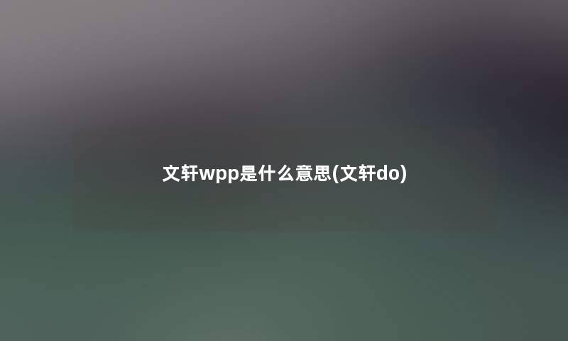 文轩wpp是什么意思(文轩do)