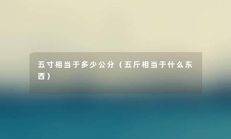 五寸相当于多少公分（五斤相当于什么东西）